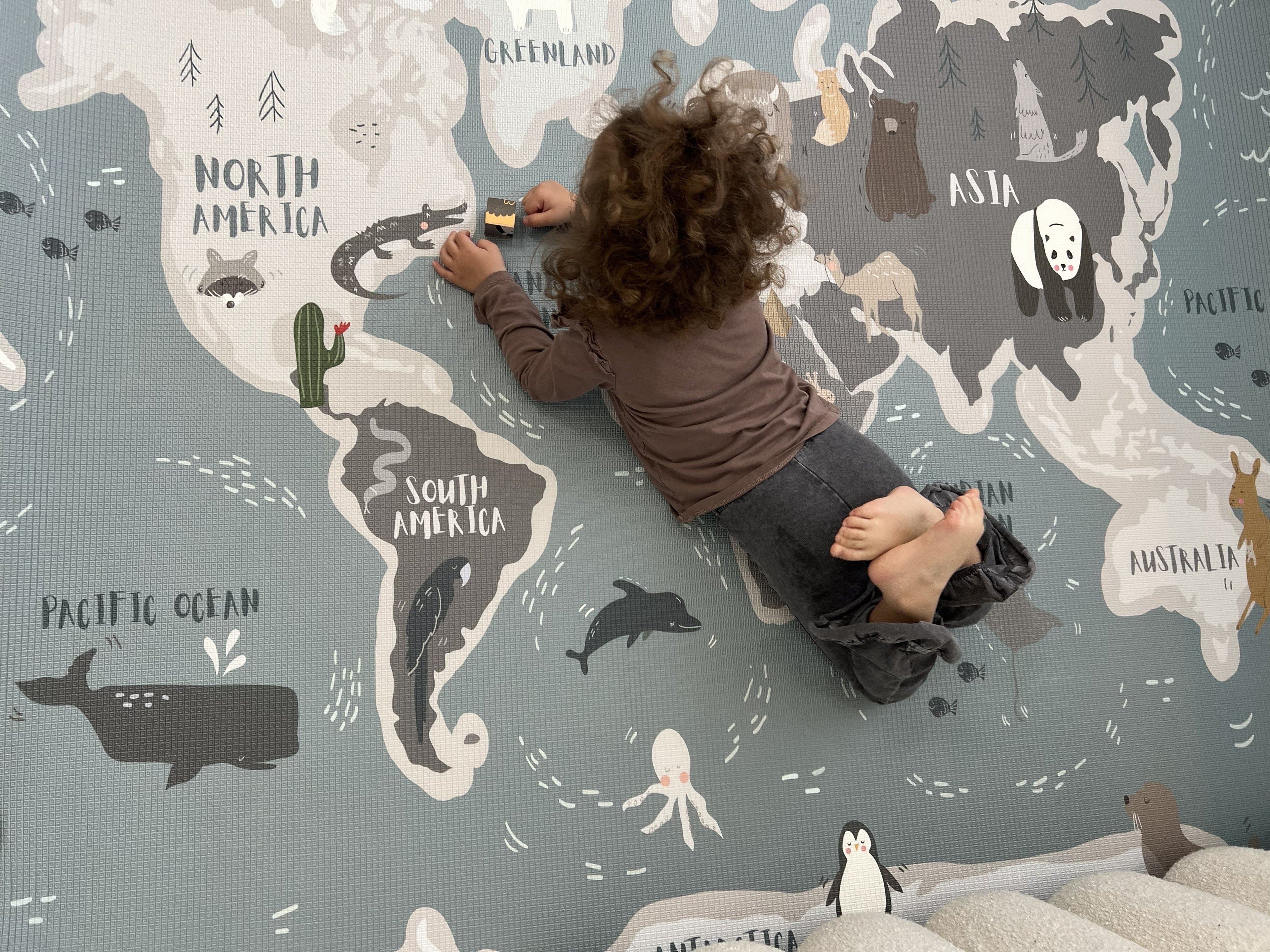 LIZY KIDS® World & Lines